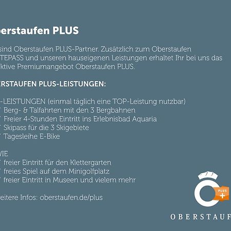 Exklusive Fewo Allgaeustern Steibis Mit Wlan Sauna Kamin Und Oberstaufen Plus Card Extérieur photo
