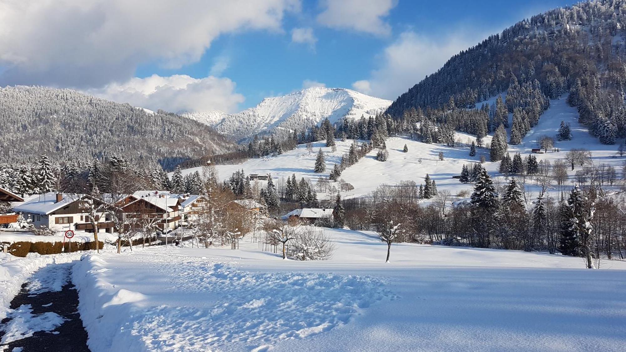Exklusive Fewo Allgaeustern Steibis Mit Wlan Sauna Kamin Und Oberstaufen Plus Card Extérieur photo